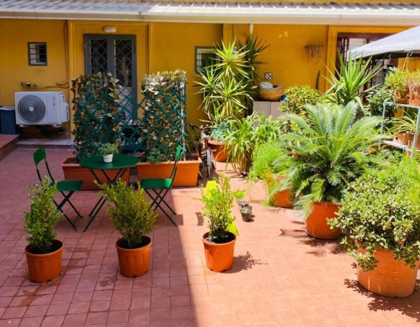 Centro Casa *